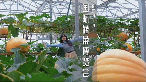 寿光楼顶吃瓜事件,寿光居民楼顶吃瓜事件引发热议