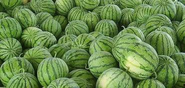 夏天的吃的瓜,清凉解暑的甜蜜诱惑
