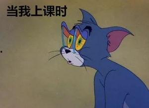 上课睡觉吃瓜,睡觉吃瓜的欢乐时光