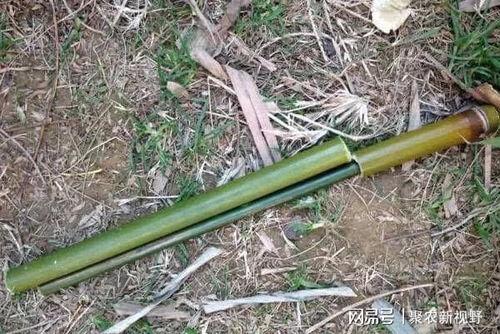 吃瓜视频橡胶子弹,橡胶子弹背后的真相与争议