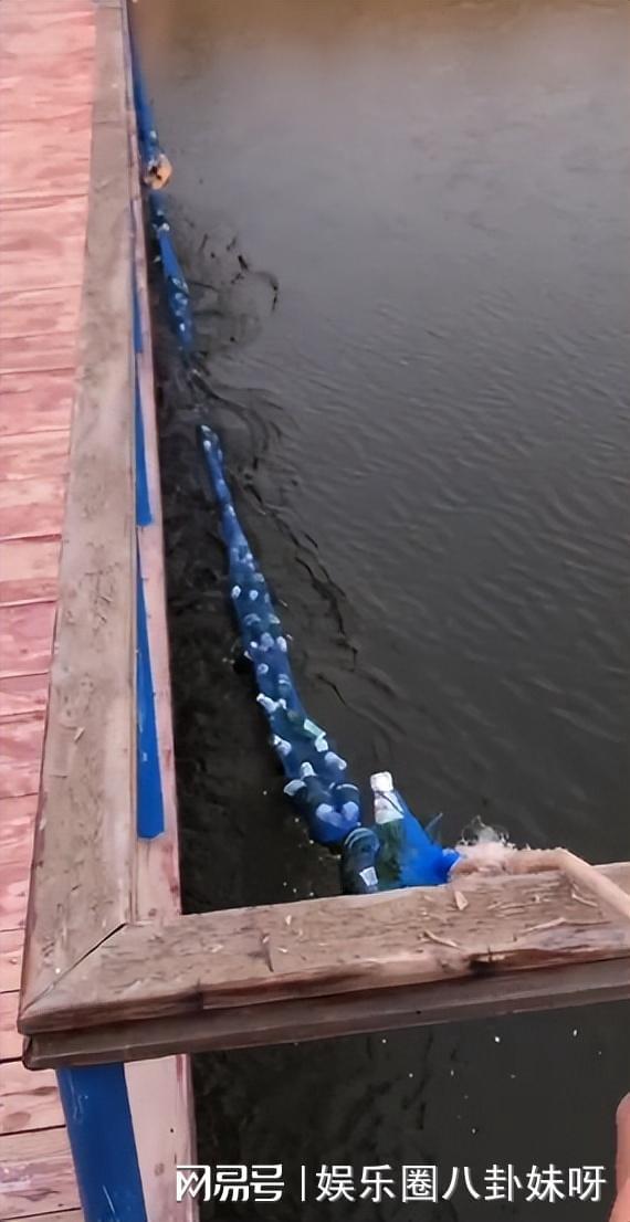 寡人兄弟吃瓜,寡人兄弟间的吃瓜趣事