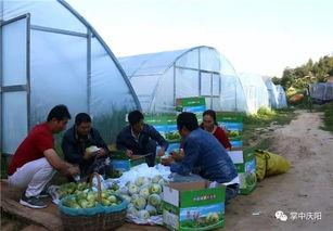 义坊吃瓜,揭秘吃瓜群众的狂欢盛宴