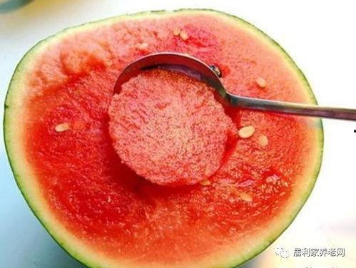 大头小妹吃海瓜,大头小妹的奇幻海瓜之旅