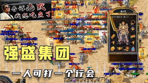 热血吃瓜模板,揭秘娱乐圈背后的惊天秘密！