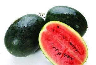 长垣吃瓜大视频