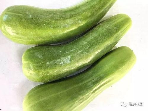 在古代躺平吃瓜