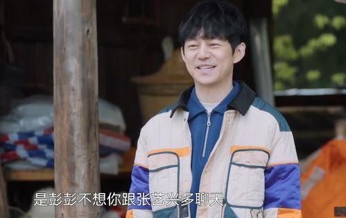 韩娱吃瓜居张艺兴,韩娱圈风云中的璀璨明星