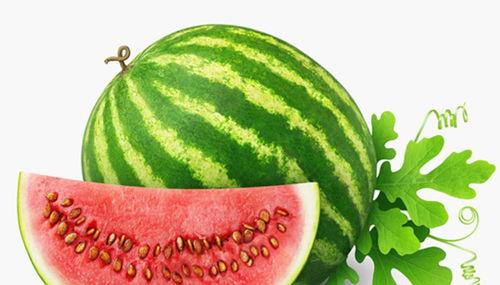 孕妇梦见在瓜地里摘瓜吃,孕妇瓜地摘瓜，预示着甜蜜孕育与丰收喜悦