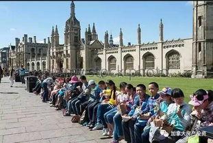 剑桥吃瓜,揭秘校园吃瓜背后的真相与笑料