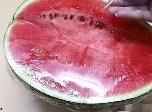 梦见儿子吃放瓜,儿子品尝放瓜的温馨瞬间