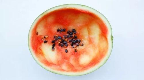 用勺子吃瓜,体验别样夏日消暑新风尚