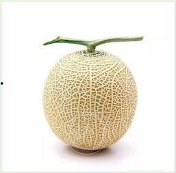 好看头像吃瓜群众,好看头像背后的故事