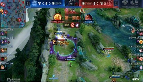 xq九尾吃瓜,揭秘电竞圈幕后趣闻