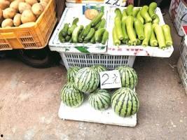 深圳武汉吃瓜群众,网络热点背后的社会现象解析