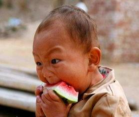 加油吃瓜的视频,揭秘加油吃瓜背后的趣味生活