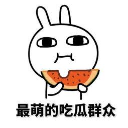 说唱圈吃瓜图片,一场“吃瓜”盛宴背后的真相揭秘