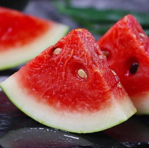 寻瓜吃开心,开心吃瓜，畅享夏日清凉