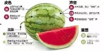 最新微信吃瓜爆料