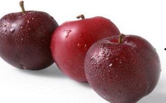 李子吃瓜,揭秘瓜果界的甜蜜诱惑