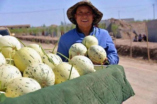 广君吃瓜思维,揭秘娱乐圈那些不为人知的幕后故事