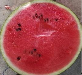 吃瓜不问卖几块,品味美食，享受生活