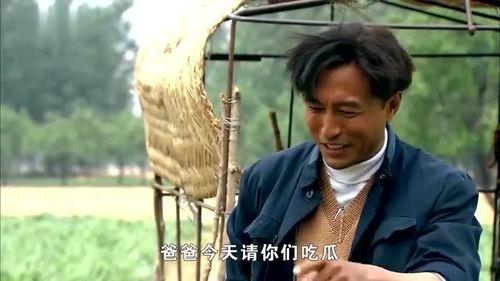 吃瓜县委书记,一场网络热传背后的真相与反思