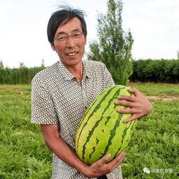 乡村夫人吃瓜画面,夏日田园风情画卷