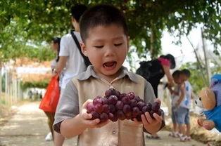 河源唠嗑吃瓜群