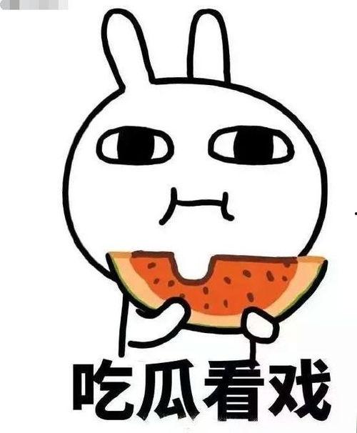 吃瓜日常表现